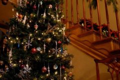 xmas7
